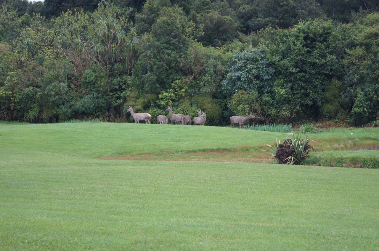 Heritage Park Lodge Haast Zewnętrze zdjęcie